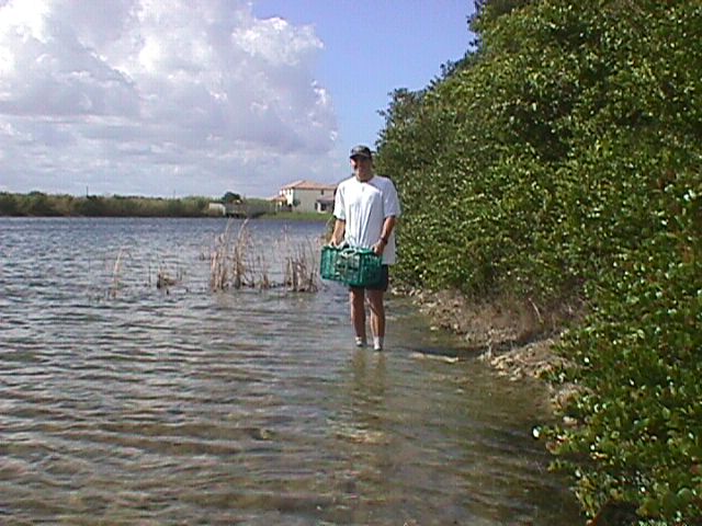 Walter Wilcox collecting shoreline data